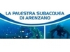 Logo Palestrasub