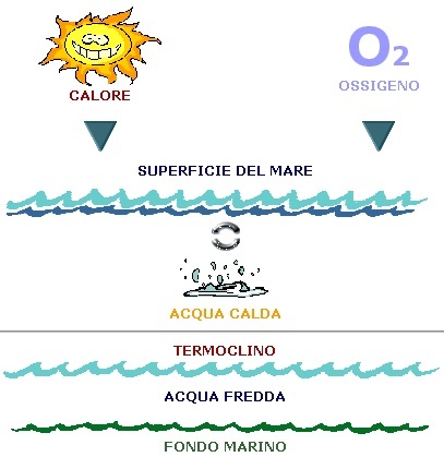 Il ciclo dell'evaporazione dell'acqua